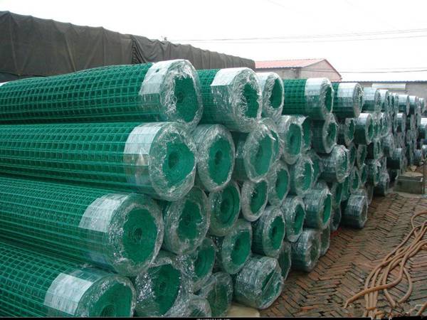 荷(he)蘭(lan)網(wǎng)(wang)6