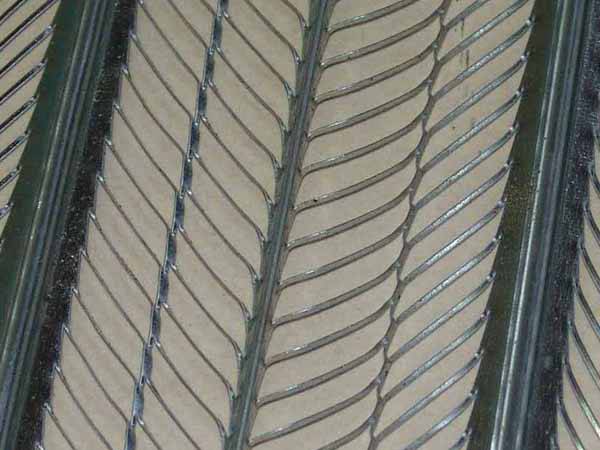 有筋擴張(zhang)1