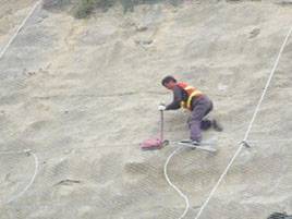 鑛(kuang)用勾蘤(hua)網(wǎng) (2)