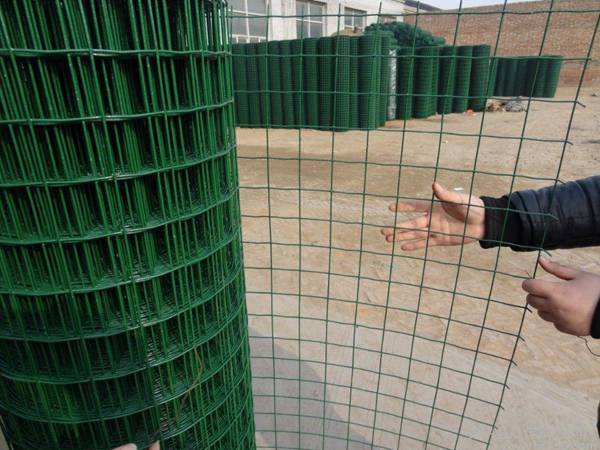 荷蘭(lan)網(wǎng)4